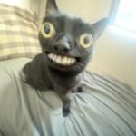 Cocaine Adderall Tobacco