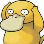 搬瓦工机场JMS交流(Just My Socks)