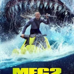 Box Office MEG 2 : The Trench