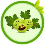 КРИНЖОВНИК