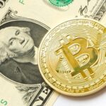 한백이의 채팅방