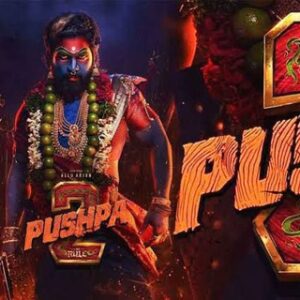 Pushpa 2 movie Hindi 2024