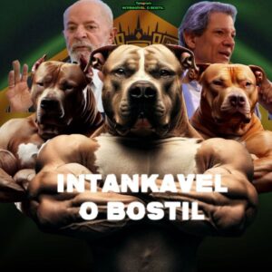 INTANKAVEL O BOSTIL