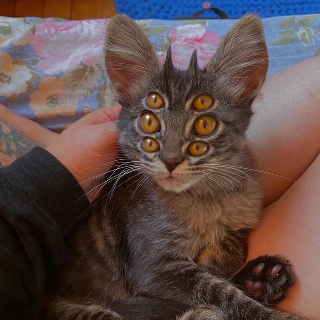 Kokushibo