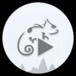 Stellio Player Premium