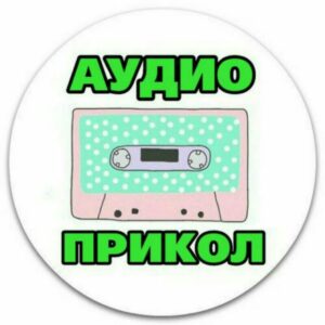 АУДИО ПРИКОЛ🔊 ⚡