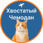Хвостатый чемодан | Перевозка животных