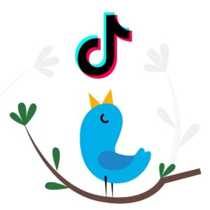 Twitter и TikTok