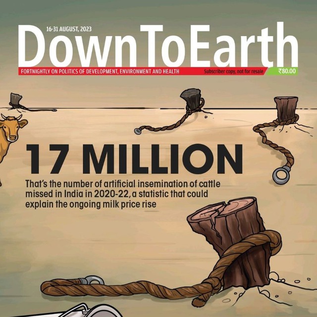 Down To Earth Magazine