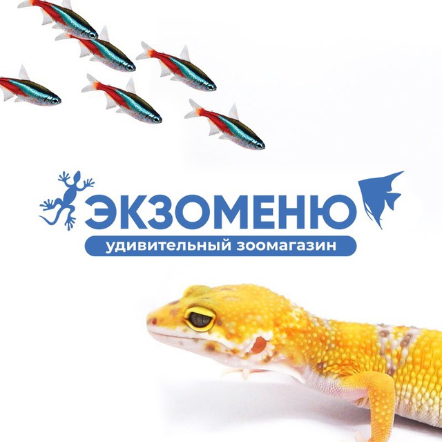EXOMENU.RU (ЭКЗОМЕНЮ)