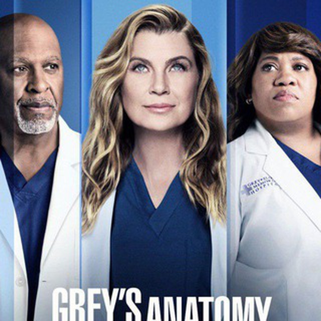 GREYS ANATOMY SEASON 20 | SERIES