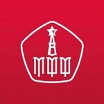 Московская федерация футбола (МФФ)