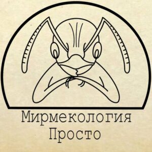 Мирмекология– Просто | Чат