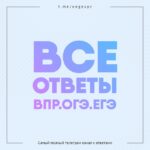 Ответы на ЕГЭ/ВПР/ОГЭ | 2022-2023 [Owl]