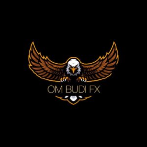 OM BUDI FX