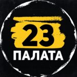 Палата 23