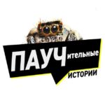 Паучительные истории