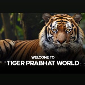 WELCOME TO TIGER PRABHAT WORLD☀️