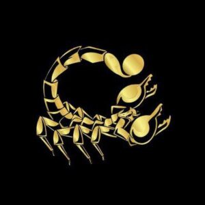 Scorpion Casino 🦂