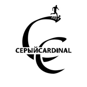 Серый CARDINAL🇰🇿⚽️