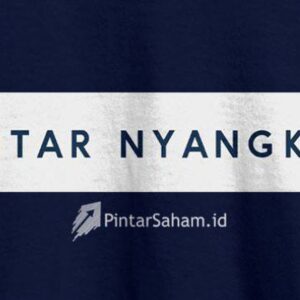 Insight Pintarsaham.id Cabang Pintar Nyangkut