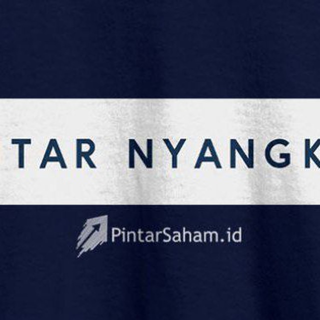 Insight Pintarsaham.id Cabang Pintar Nyangkut