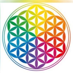 Escola Flor da Vida