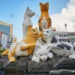 Kuching Male Massage / Gym