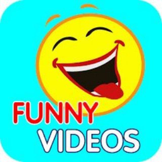 Funny Videos