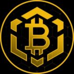 Access BitcoinBSC