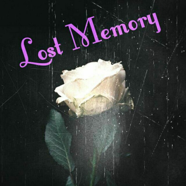 Lost Memory