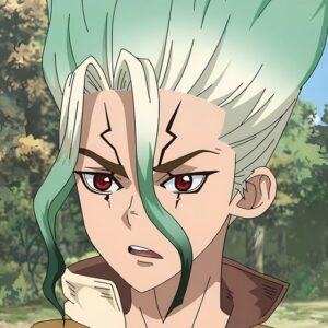 Dr Stone