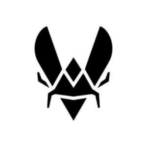 Team Vitality | Киберспортивные турниры