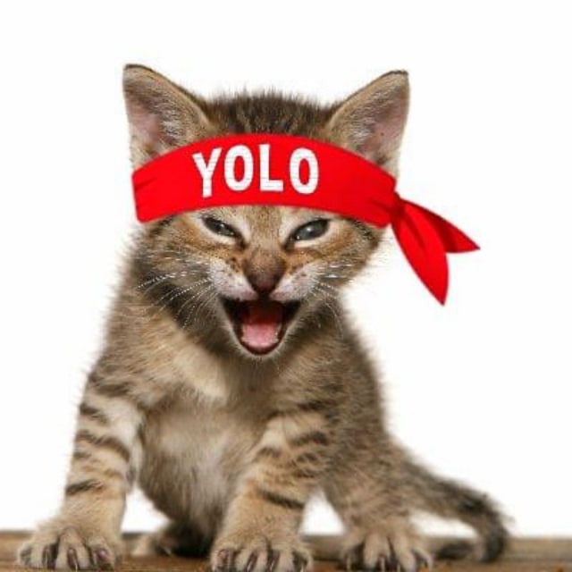 YOLO