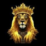 روابط لينك بوكس الرسمية Linkbox