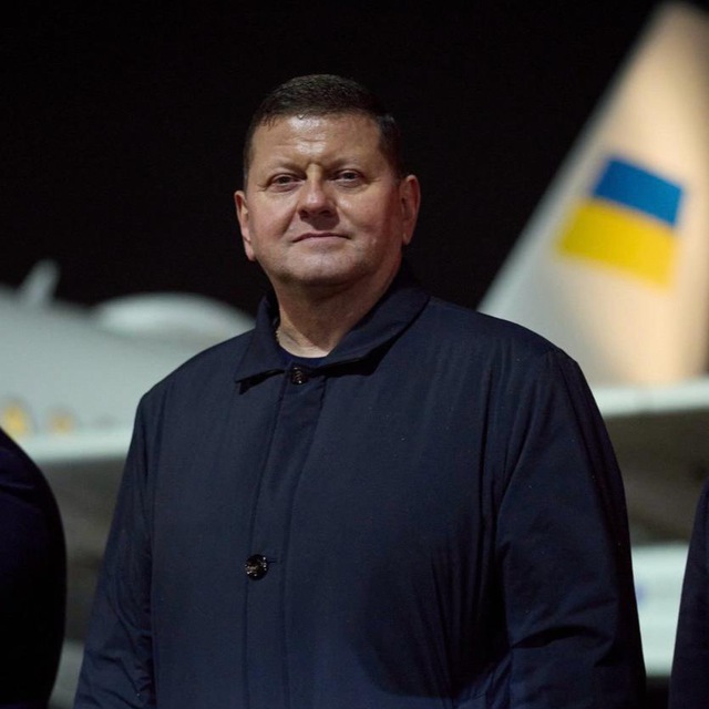 Валерій Залужний