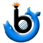 Battinews