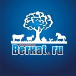Беркат Сельхоз канал