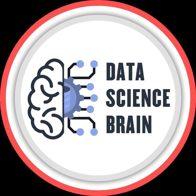 Data Science Brain