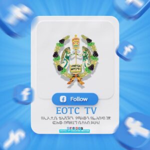 EOTC TV (በኢትዮጵያ ኦርቶዶክስ ተዋሕዶ ቤተ ክርስቲያን የመገናኛ ብዙኃን ሥርጭት አገልግሎት ድርጅት)