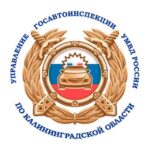 Госавтоинспекция 39