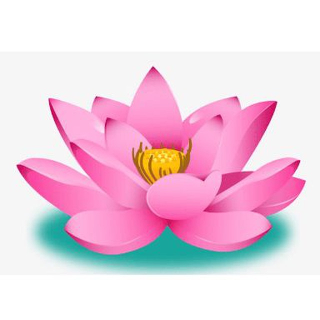 LOTUS4D_OFFICIAL