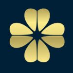 Канал МТЦ Новый