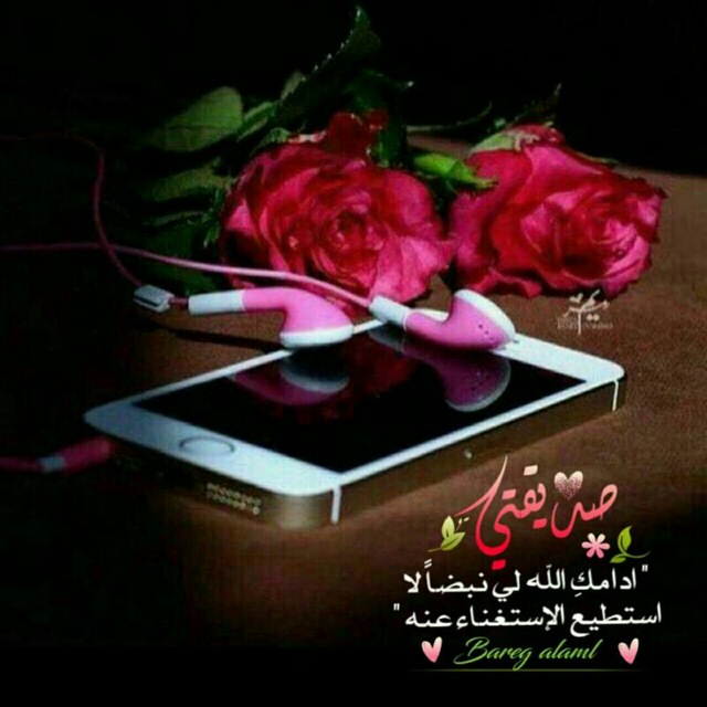 💞صديقاتي حياتي💞