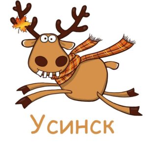 Подслушано Усинск