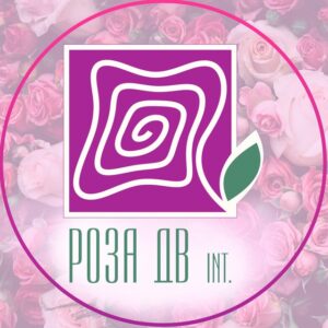 💐 ROZA DV INT 💐 РОЗА ДВ ИНТ 💐