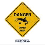 🦈Tubarões do Mercado Financeiro 🦈