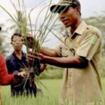 SKB PENYULUH PERTANIAN
