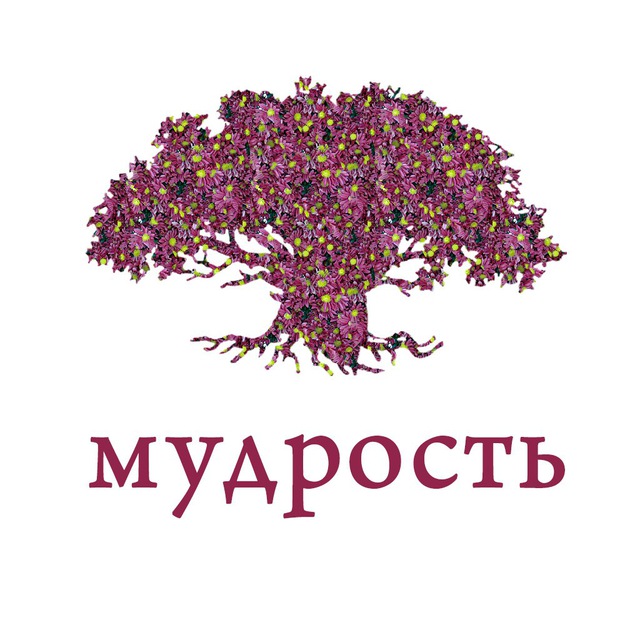 Толдот — мудрость дня