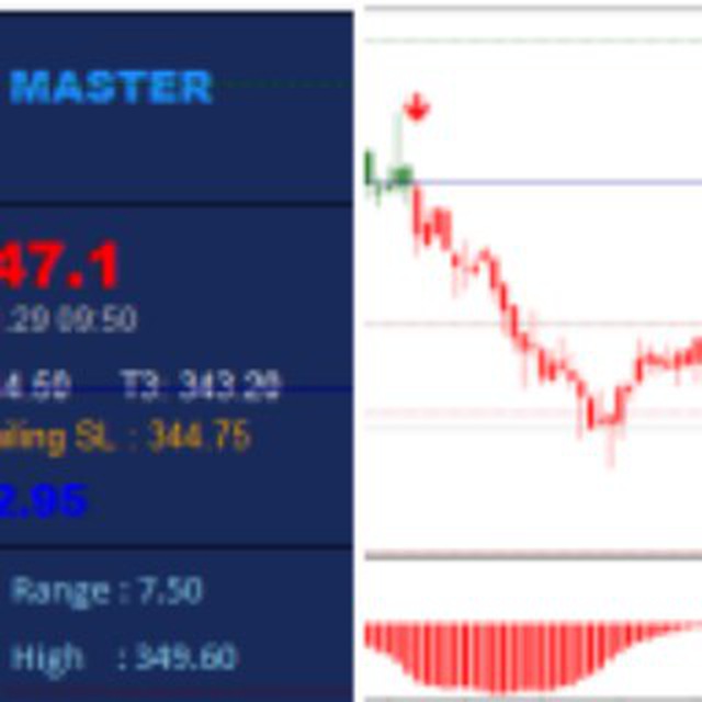 TRADEMASTER SOFTWARE NSE/MCX